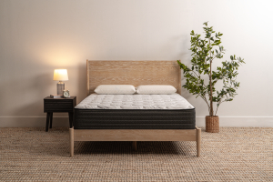 Midwest Mattress Direct 12" Taylor Made Plush