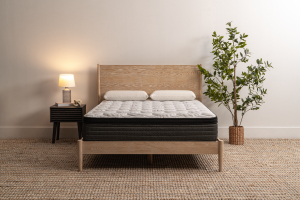 Midwest Mattress Direct 12" Taylor Made Plush Euro Top